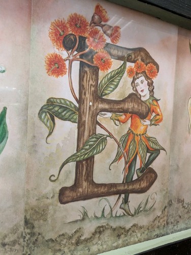 Framed Girls Name CAYLEY Fairy Fairies Flowers - Picture 2 of 3