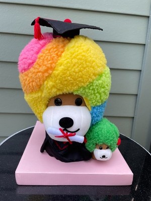 Vtg San-X Afro Ken Rainbow Graduation Plush Doll 11