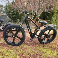 RANDRIDE 20AH Fat Tire Ebike 1000W Electric Fat Bike Mountain E Bike for Adults