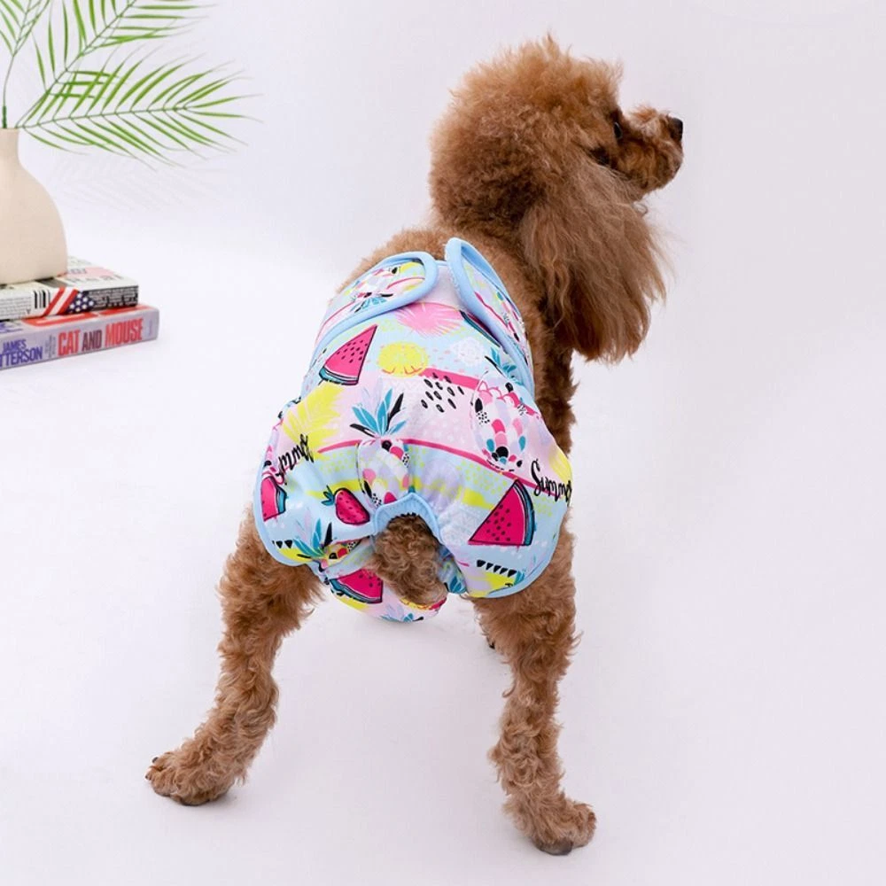 Dog underwear for outlet period