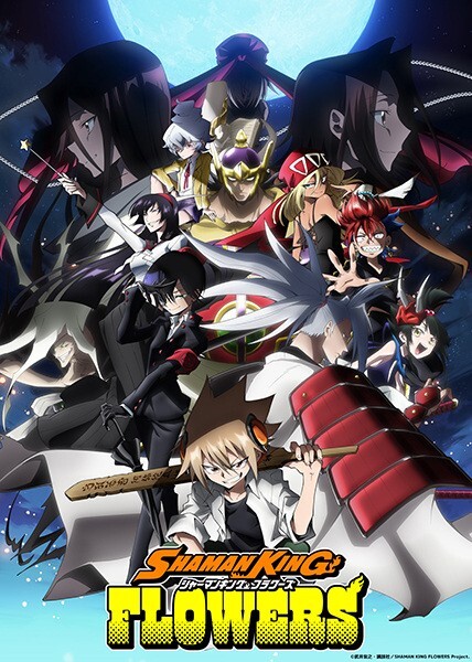 DVD Anime Shaman King Flowers TV Series (1-13 End) English