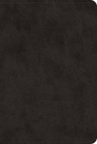 ESV ESV Value Large Print Compact Bible (Rilegato in ecopelle)