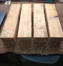 FOUR (4) BEAUTIFUL BALD CYPRESS TURNING BLANKS LATHE LUMBER WOOD 3" X 3" X 12"