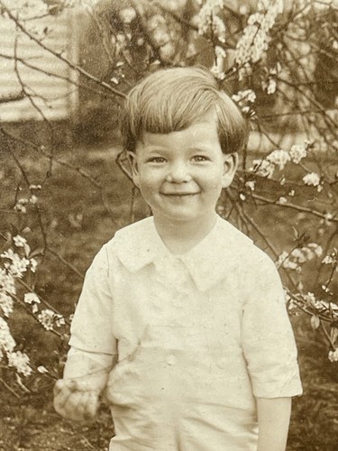 Early 1900s RPPC Young Boy Child Long Socks Cute Smile Outside Flowers Unposted - Picture 6 of 7