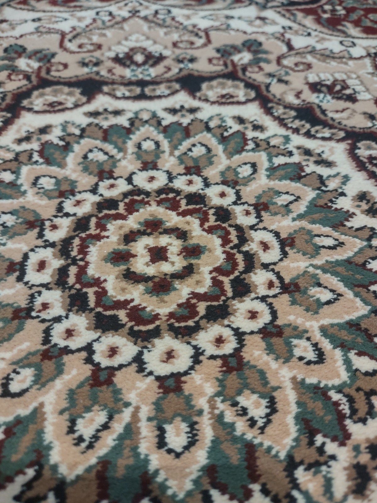 Picture 8 of 16