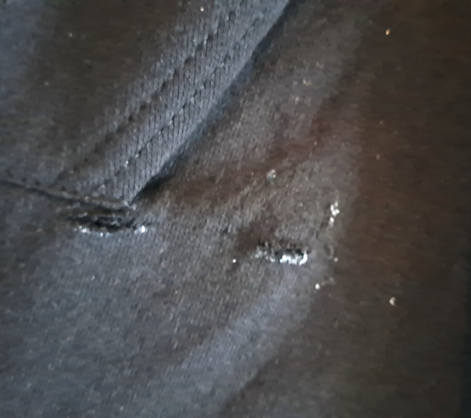 Picture 4 of 4