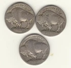 1913 Type 1 P D & S Buffalo Nickels - Free Shipping- A312