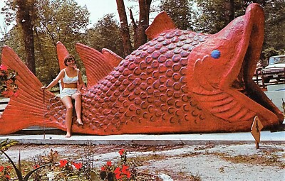 # G2568    WINDY HILL BEACH,  S.C.    POSTCARD,    WACKY GOLF