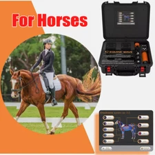 Portable Pro Vet Shockwave Pain Relief Shock Wave Therapy Equipment For Horse
