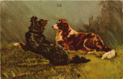 CPA AK Dogs in love DOGS (727349)