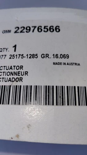 Genuine GM Door Mirror Actuator 22976566