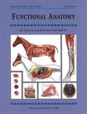 Functional Anatomy (Threshold Picture Guide 43) by Chris Colles Paperback Book