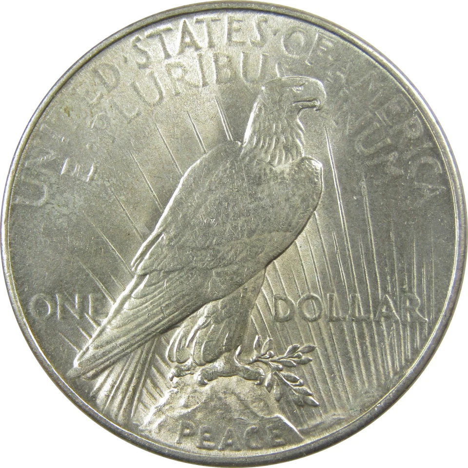 1934 Peace Dollar Borderline Uncirculated Silver $1 Coin SKU:I22033 - Image 2 of 4