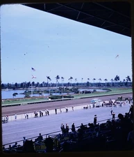 Horse Race Track Gulfstream Park Florida - 1950s Stereo Realist Slide #968