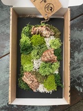 🌿 Quadro di Muschio Stabilizzato - Un Tocco di Natura per la Tua Casa! 🌿