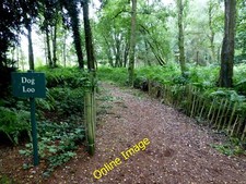 Photo 12x8 Dog Loo, Peatlands Park Church Hill/H8860 I'm not even go c2013