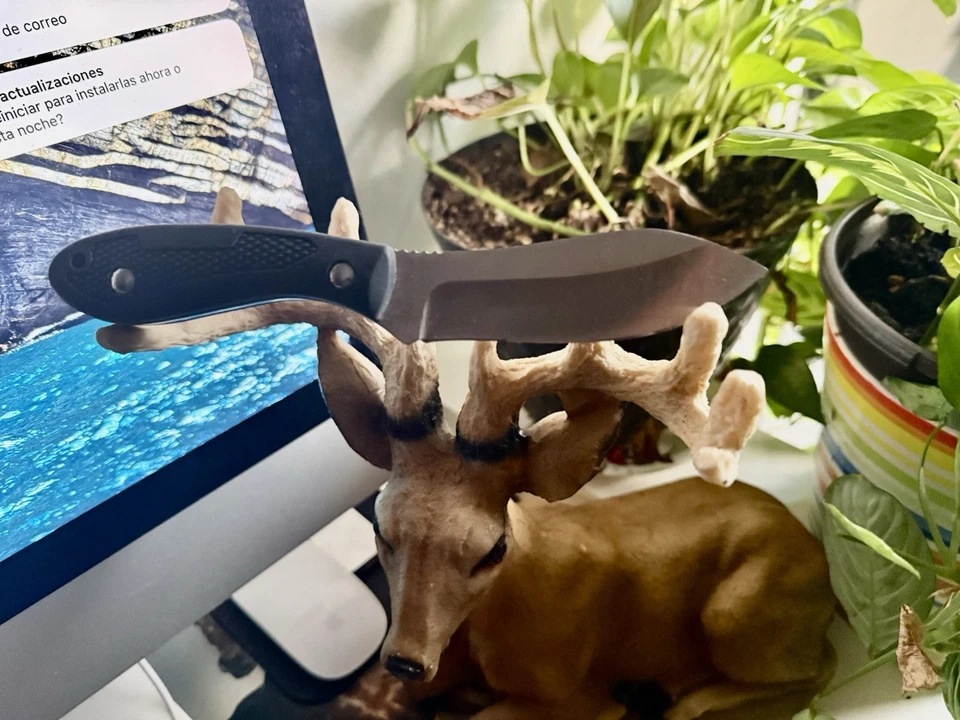 Cuchillo Western Titanium Cross Trail hoja fija punto de caída con funda de caza... Foto 4 de 4