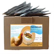Classic Flock 5 Lb Mealworms - This Is Freshly Cooked Worms At High