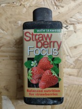 Houseplant Grow Bloom Flowering Nutrient Strawberry Focus 2x 100ml Seaweed