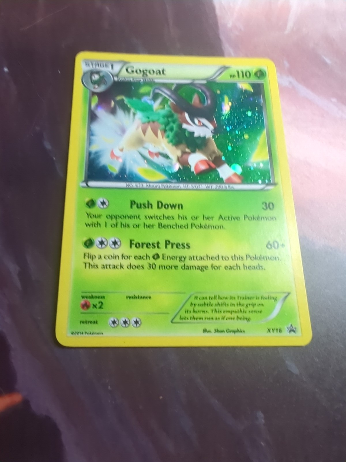 Gogoat XY16 16 XY Black Star Promo Pokemon Card *** LP