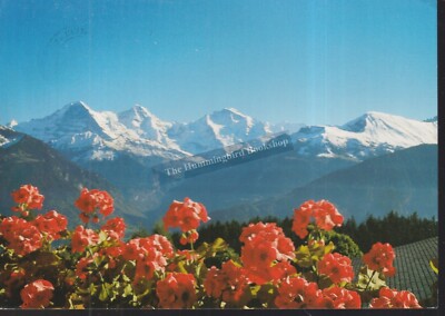 Eiger~Mönch~Jungfrau Berner Oberland Schweizer Berge gest. Landschaftspostkarte 6002