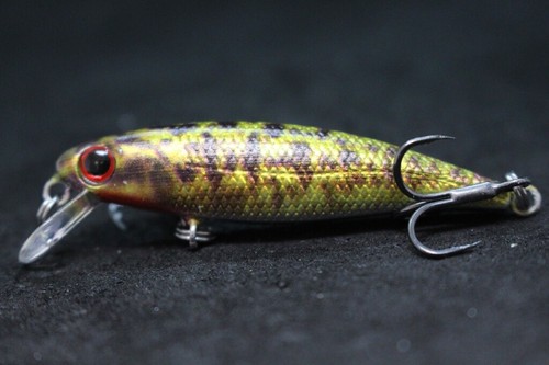 Señuelo de pesca Jerkbait cebo con señuelo 2 1/2 pulgadas apretado realista hundimiento lento HM639 - Imagen 37 de 49