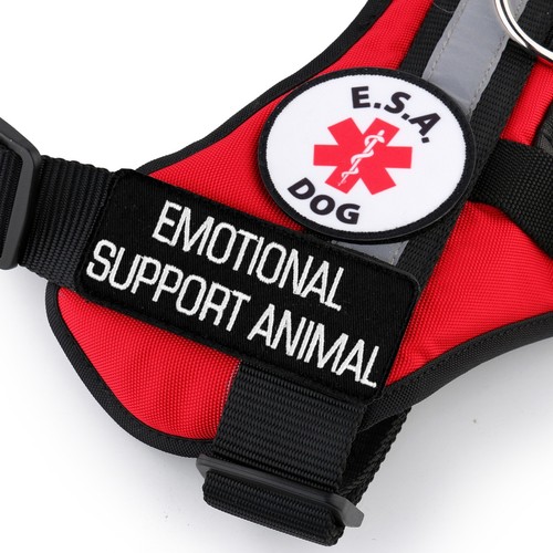 Vest Patches: Service Dog | Therapy | ESA Support Dog | PTSD | ALL ACCESS CANINE - Picture 15 of 22