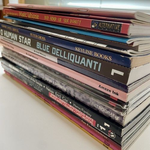 Posten 22 verschiedene unabhängige Trade Taschenbücher, quadratische Grenzen & Softbacks