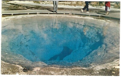 MORNING GLORY POOL, Yellowstone National Park, c1950's Unused Postcard
