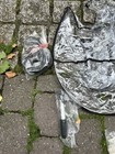 Bild 5 von 6