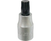"1/2\" SteckschlüSsel-Einsatz Vielzahn Xzn Wgb, M5X55 Mm"
