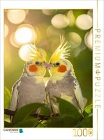 Calvendo Puzzle Friends In The Bush - Cockatiels | 1000 Pieces, Finished Size 25