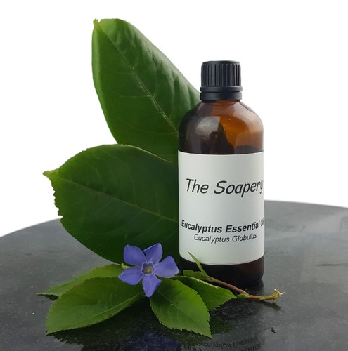 100ml Eukalyptus ätherisches Öl - 100% rein und natürlich - Bild 2 von 2