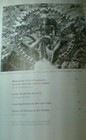 Bild 3 von 3
