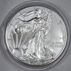 2014 1oz .999 Silver American Silver Eagle in a Capsule BU