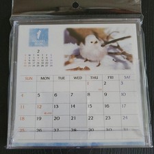 2026 Bird Desk Calendar CD Size with Various Species