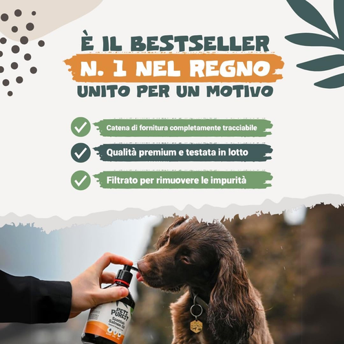 Pet Purest Olio Di Salmone Scozzese per Cani, Gatti, Animali Domestici 500Ml - P - Foto 4 di 12
