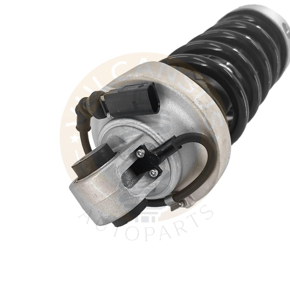 Audi R8 2015-2020 Rear Right Shock absorbers Pair P/N 420512020G