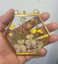 Wall Art Dried Pressed Real Flowers in Glass frame hexagon 3.5 in handmade gift