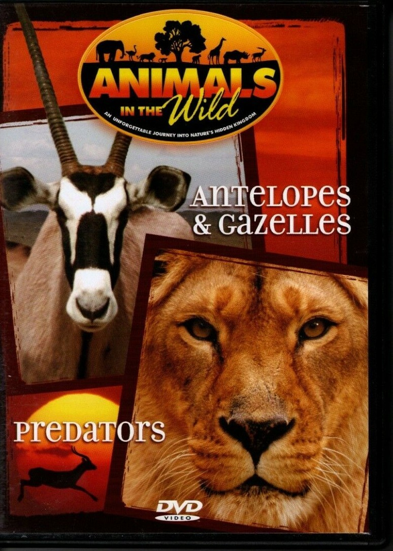 その他 Animals in the Wild 1: Fangs &amp; Claws [DVD] Amazon.com: Animals in the Wild 1: Fangs & Claws : Animals