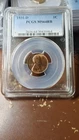 1931 D Lincoln Wheat Cent Penny PCGS MS64 RB Red Brown                      5490