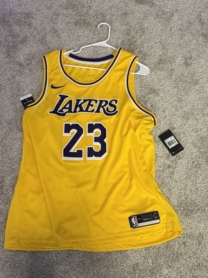 Nike LA Lakers NBA Swingman Jersey Lebron James Icon DN2009-733 Sz