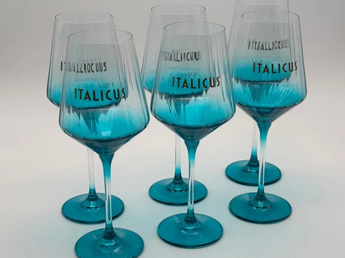 6x Italicus Aperitif Spritz Wein Gläser für Aperitivo & Cocktails