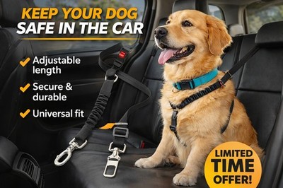 Dog Safety Car Seat Belt + FREE Interactive Smart Ball Toy | Universal Fit