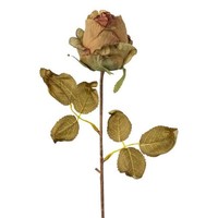 artplants KüNstliche Rose Grolk, Trockenoptik, GrüN-Braun, 45Cm