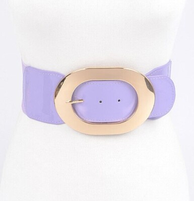 BNWT Oval Buckle Fashion Wide Belt Elastic Wide Belt Stretch Belt
