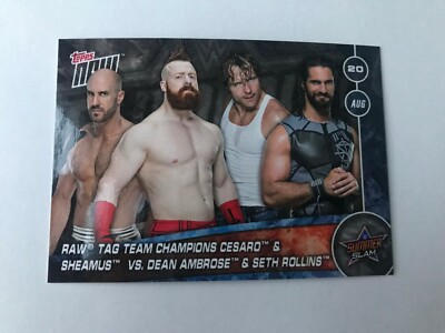 DEAN AMBROSE & SETH ROLLINS vs. CESARO 2017 WWE Topps Now Summerslam Matchups #7