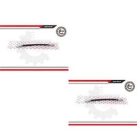 2X Esen SKV Bremsschlauch Hinten Beidseitig FüR Renault Megane Scenic JA0/1_
