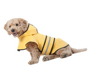small dog raincoat with hood
