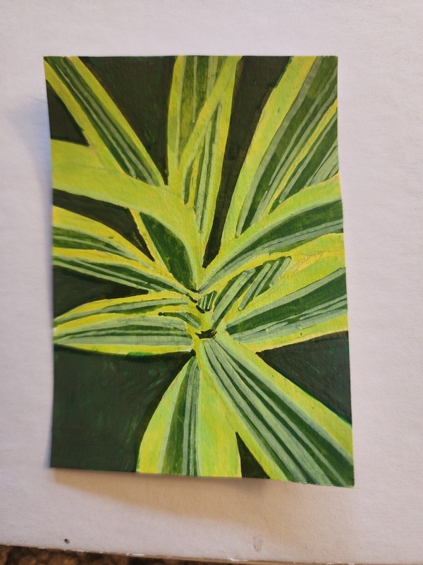 ACEO Original Abstract Acrylic Painting Dracaena Leafy House Plant by Kiva